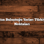Doğa ve Sanatın Buluştuğu Yerler: Türkiye’deki Sanat Noktaları