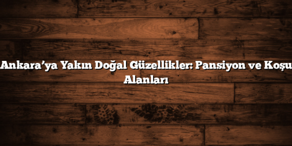 Ankara’ya Yakın Doğal Güzellikler: Pansiyon ve Koşu Alanları