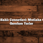 Düzce’nin Saklı Cennetleri: Mutlaka Görünmesi Gereken Yerler
