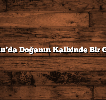 Ordu’da Doğanın Kalbinde Bir Gezi