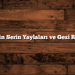 Rize’nin Serin Yaylaları ve Gezi Rehberi