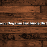 Trabzon: Doğanın Kalbinde Bir Şehir