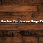 Şırnak’ın Kaçkar Dağları ve Doğa Yürüyüşleri