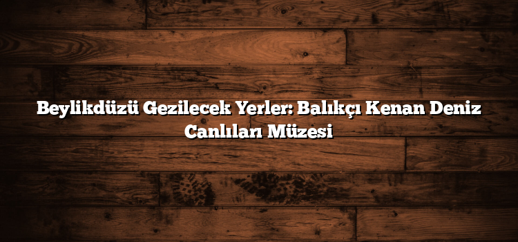 Beylikdüzü Gezilecek Yerler: Balıkçı Kenan Deniz Canlıları Müzesi
