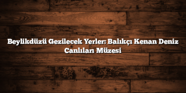 Beylikdüzü Gezilecek Yerler: Balıkçı Kenan Deniz Canlıları Müzesi