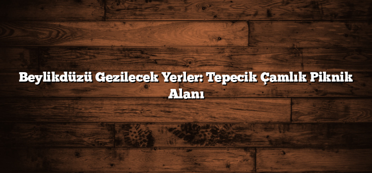 Beylikdüzü Gezilecek Yerler: Tepecik Çamlık Piknik Alanı