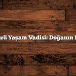 Beylikdüzü Yaşam Vadisi: Doğanın Kalbinde