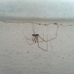 Çanakkale Gezi Haritası ile Çocuk Dostu Yerler