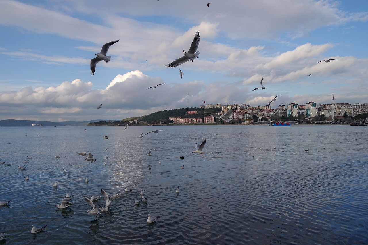 Çanakkale Gezi Haritası ile Keşfedilmesi Gereken Mekanlar