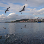 Çanakkale'ye Özgü Lezzetler: Harita Rehberi