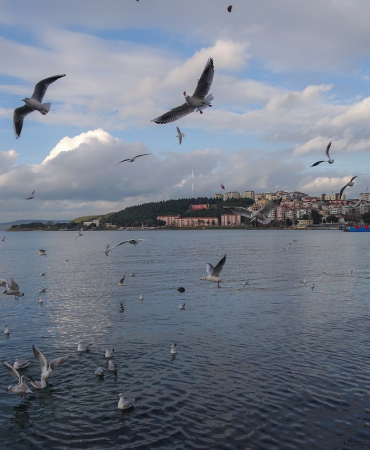 Çanakkale'ye Özgü Lezzetler: Harita Rehberi