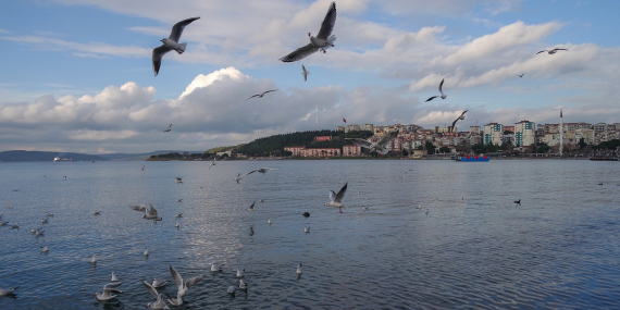 Çanakkale’ye Özgü Lezzetler: Harita Rehberi