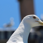 Doğu Anadolu'da Görmeniz Gereken En Önemli Gezi Noktaları