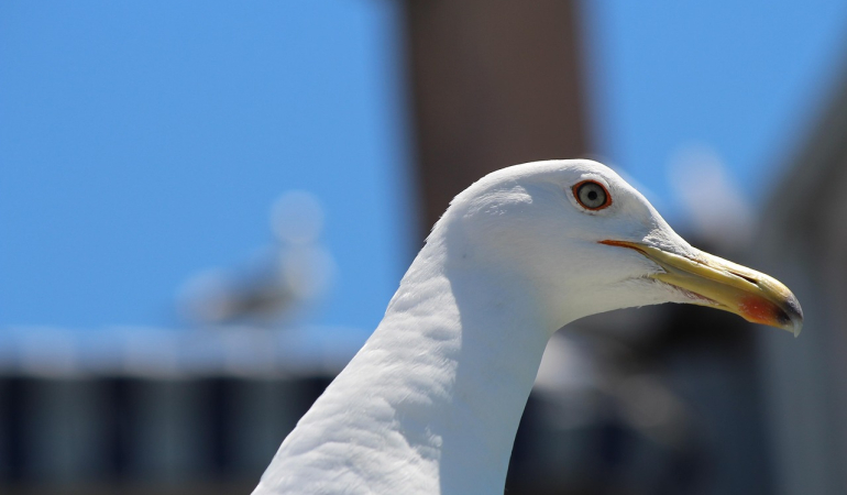 Doğu Anadolu'da Görmeniz Gereken En Önemli Gezi Noktaları
