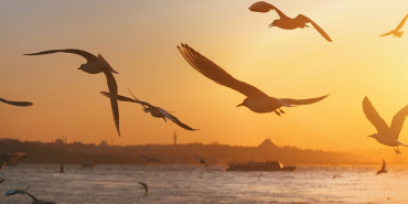 istanbul gezilecek yerler en populer 3