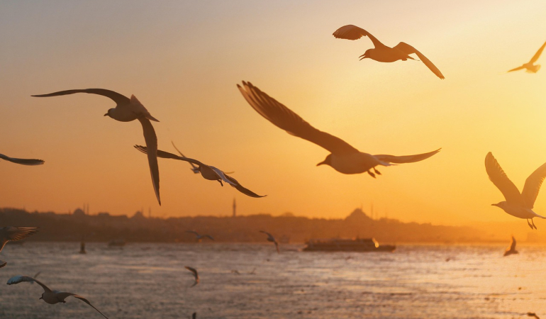 İstanbul'da Keşfedilecek 10 Büyüleyici Yer