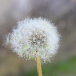 İzmit'te Keşfedilecek En Eğlenceli Aktiviteler
