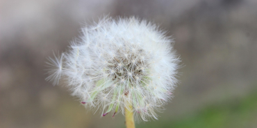 İzmit'te Keşfedilecek En Eğlenceli Aktiviteler