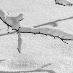 kar tatili ile ilgili ipuclari 3