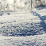 kar tatili rezervasyonlari