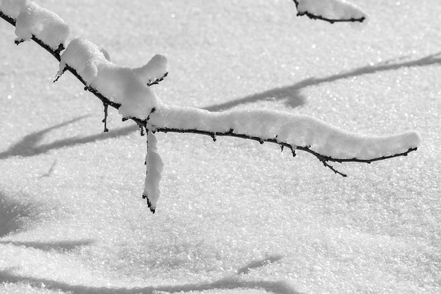 kis tatili onerileri