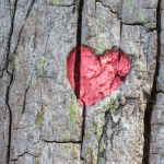 Kışın Sevgiliyle Gidilecek Tatil Yerleri: Romantik Kaçamaklar