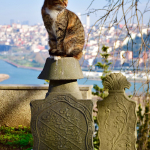 Pierre Loti: İstanbul'un En Güzel Manzarası