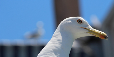 Tarih ve Doğanın Buluşma Noktası: Doğu Anadolu'daki 10 Güzellik