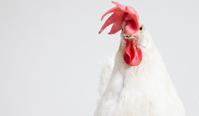 Türkiye'nin En Güzel Gezilecek Yerler Listesi