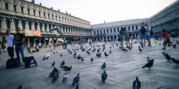 Ücretsiz Firma Rehberi ile Marka Bilinirliğinizi Artırın