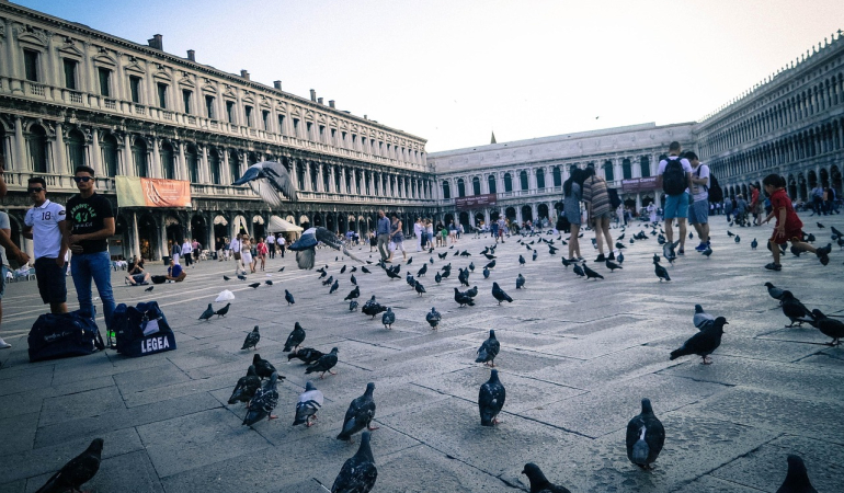 Ücretsiz Firma Rehberi ile Marka Bilinirliğinizi Artırın