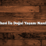 Elma Sirkesi İle Doğal Yaşam: Nasıl Yapılır?