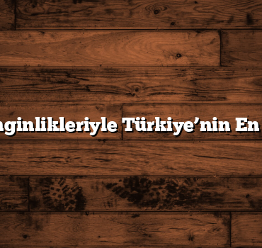 Kültürel Zenginlikleriyle Türkiye’nin En İyi Müzeleri