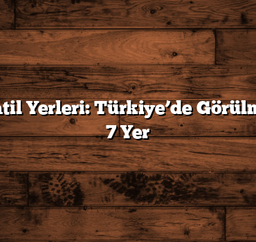 Rüya Gibi Tatil Yerleri: Türkiye’de Görülmesi Gereken 7 Yer