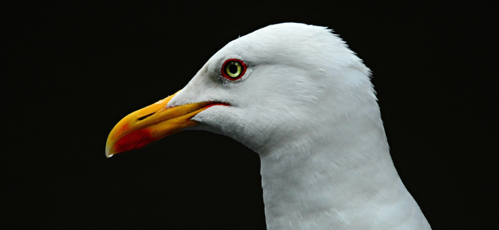 En İyi Batı Karadeniz Turu Rotaları