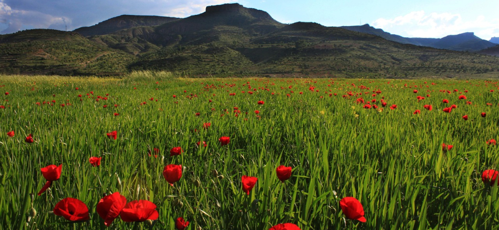 Mardin'de Tarihi Zenginlikler: Görülmesi Gerekenler