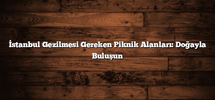 İstanbul Gezilmesi Gereken Piknik Alanları: Doğayla Buluşun