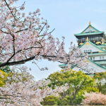 Japonya Osaka Gezilecek Yerler: Şehrin Dinamik Atmosferini Keşfedin