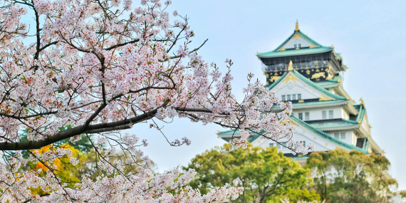 Japonya Osaka Gezilecek Yerler: Şehrin Dinamik Atmosferini Keşfedin