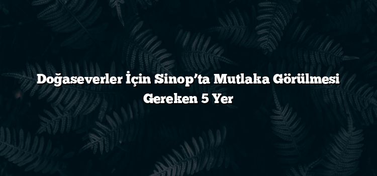 Doğaseverler İçin Sinop’ta Mutlaka Görülmesi Gereken 5 Yer