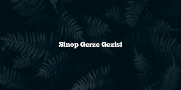 Sinop Gerze Gezisi