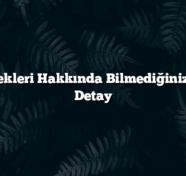Sinop Yemekleri Hakkında Bilmediğiniz 5 Şaşırtıcı Detay