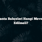 Sinop’ta Lavanta Bahçeleri Hangi Mevsimde Ziyaret Edilmeli?