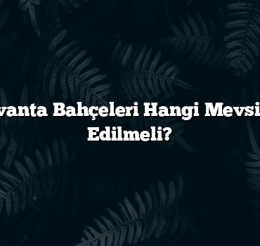 Sinop’ta Lavanta Bahçeleri Hangi Mevsimde Ziyaret Edilmeli?