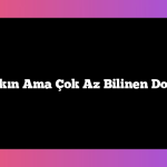 İstanbul’a Yakın Ama Çok Az Bilinen Doğa Harikaları