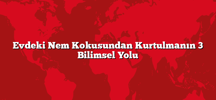 Evdeki Nem Kokusundan Kurtulmanın 3 Bilimsel Yolu