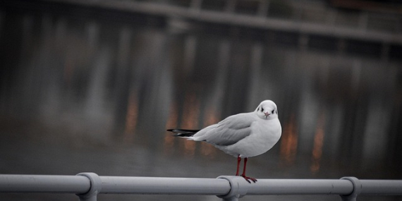 Ankara’ya Yakın Keşfedilmeyi Bekleyen Doğal Güzellikler Nerelerde?