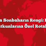 Abant’ta Sonbaharın Rengi: Fotoğraf Tutkunlarına Özel Rotalar