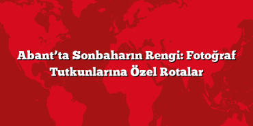 Abant’ta Sonbaharın Rengi: Fotoğraf Tutkunlarına Özel Rotalar