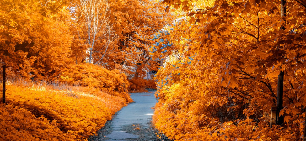 Sonbahar-Gezilecek-Yerler-1e1ee7730b7320f50b4a22fb92db3015